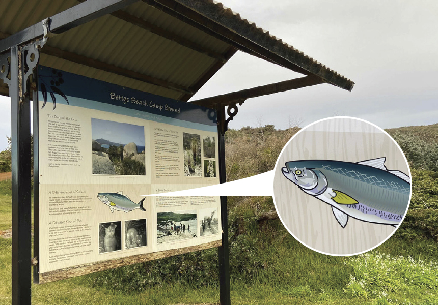 Camp Ground signage for Betty's Beach, information about rules, fees, other camp grounds and map with utilities overview, project for City of Albany, Western Australia.